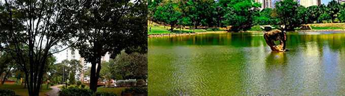 Parque Flamboyant Goiânia