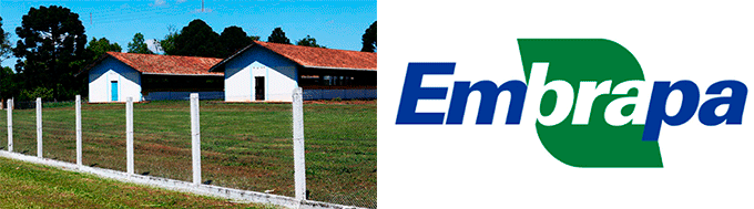 Embrapa Goiânia Embrapa Goiânia