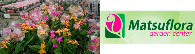 Matsuflora Goiânia