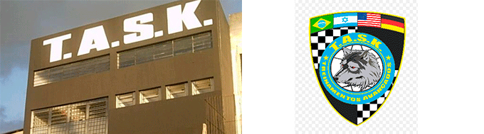Task Goiânia
