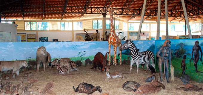 Museu Memorial do Cerrado