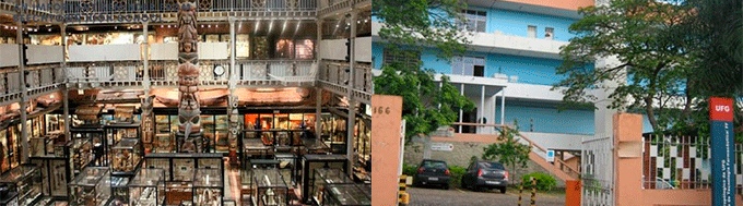 Museu Antropológico Goiânia