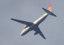 avião cai em Goiânia