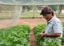 Agrocolégio Maguito Vilela