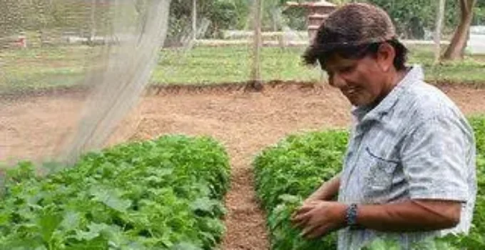 Agrocolégio Maguito Vilela