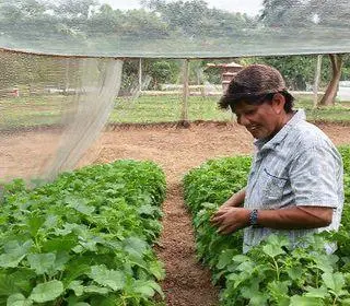 Agrocolégio Maguito Vilela