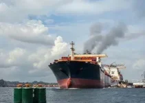 óleo para lubrificantes