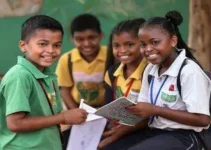 GAEPE-GO busca mobilização no legislativo para educação infantil