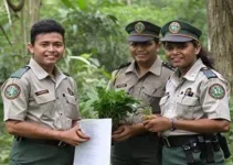 Guardiões Ambientais