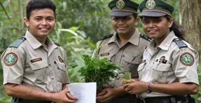 Guardiões Ambientais