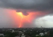 segredos do novo artigo