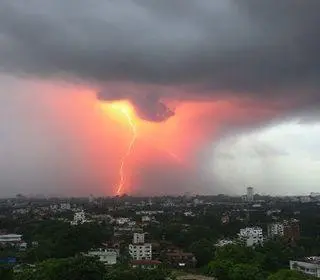 segredos do novo artigo