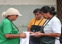 mutirão de atendimentos