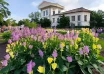 Concurso Câmara de Goiânia
