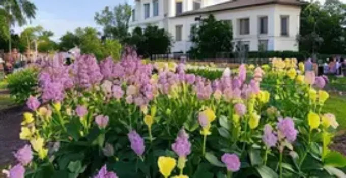 Concurso Câmara de Goiânia