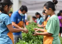 Mutirão do Ceap-SOL