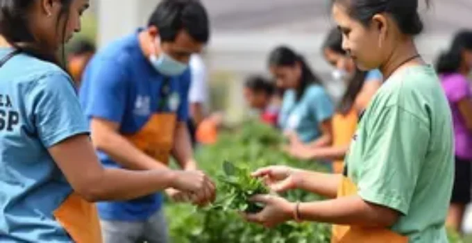 Mutirão do Ceap-SOL