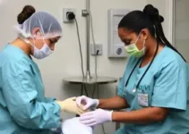 próteses INSS Goiânia