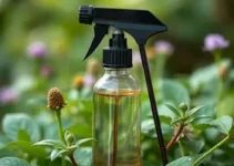 spray de extratos vegetais para mulheres