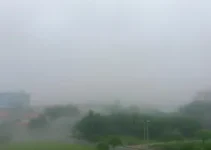 Goiânia e Aparecida amanhecem com névoa após chuva na região