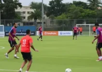 treino