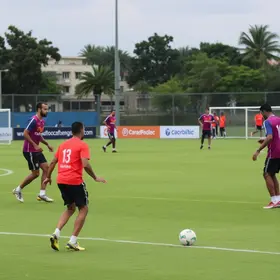treino