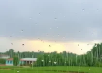 previsão de chuva em Goiás