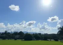 previsão do tempo Goiânia