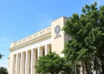 processo seletivo Instituto Sócrates Guanaes