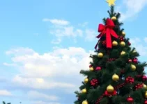 novos voos para Natal