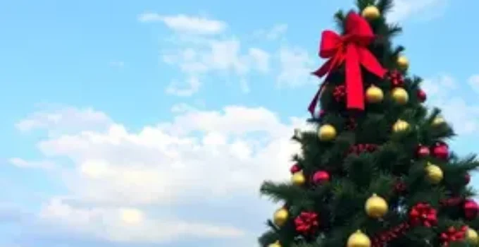 novos voos para Natal