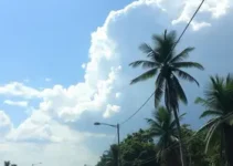 calor intenso e tempo seco em Goiânia