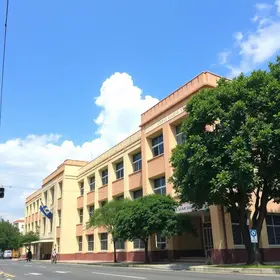 colégio estadual Goiânia Goianésia