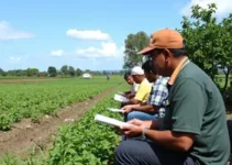 Censo Agropecuário