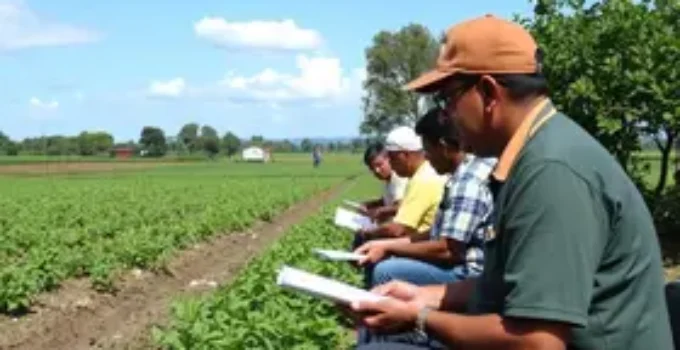 Censo Agropecuário
