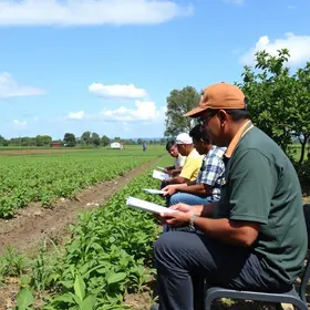 Censo Agropecuário