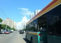eleitores da região metropolitana de Goiânia
