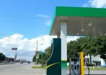 gasolina